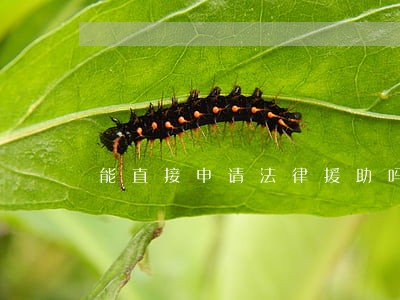 能直接申请法律援助吗 能直接申请法律援助吗