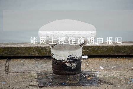 能网上操作逾期申报吗 能网上操作逾期申报吗