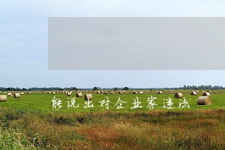 能说出对企业家违法 能说出对企业家违法
