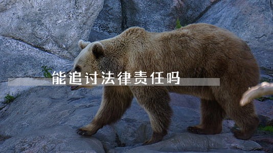 能追讨法律责任吗 能追讨法律责任吗