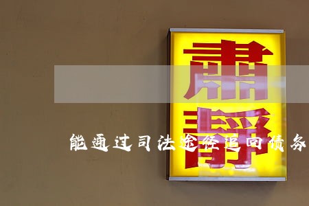 能通过司法途径追回债务吗 能通过司法途径追回债务吗