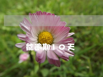 能逾期10天 能逾期10天