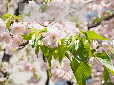 脂肪多的飞律师棒有用吗 脂肪多的飞律师棒有用吗