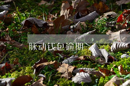 脉动钱包逾期 脉动钱包逾期
