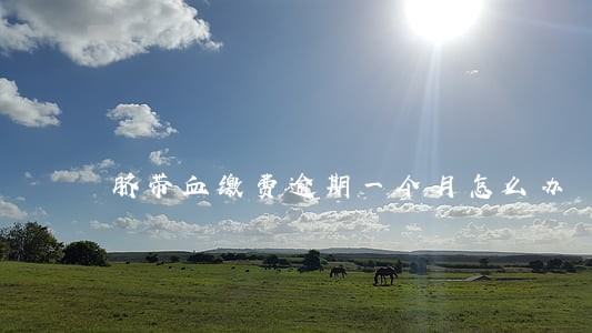 脐带血缴费逾期一个月怎么办 脐带血缴费逾期一个月怎么办