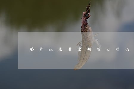 脐带血缴费逾期几天可以吗 脐带血缴费逾期几天可以吗