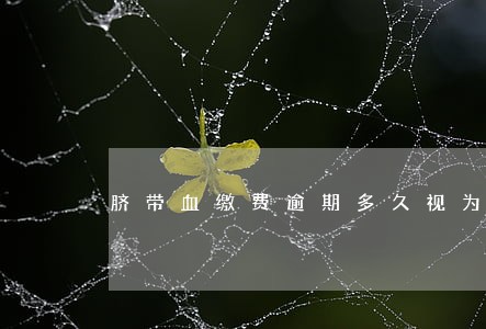 脐带血缴费逾期多久视为放弃 脐带血缴费逾期多久视为放弃