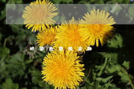 脐带血费用逾期 脐带血费用逾期