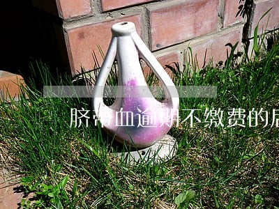 脐带血逾期不缴费的后果 脐带血逾期不缴费的后果