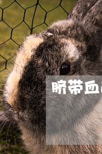 脐带血逾期缴费 脐带血逾期缴费