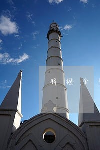 脐橙金融汇款逾期 脐橙金融汇款逾期