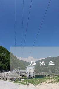 脑供血不足可以办理取保候审 脑供血不足可以办理取保候审