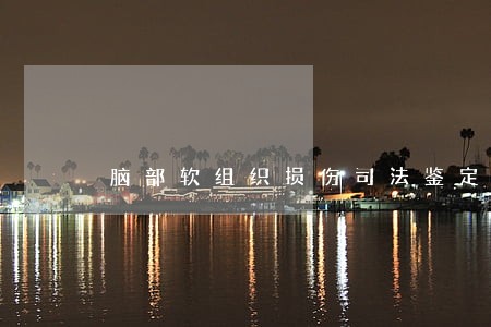 脑部软组织损伤司法鉴定 脑部软组织损伤司法鉴定