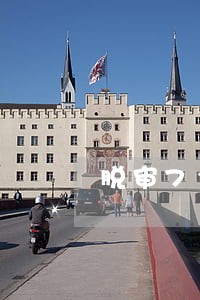 脱审7个月违法62条 脱审7个月违法62条