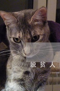 脱贫人口贷款逾期的情况说明 脱贫人口贷款逾期的情况说明