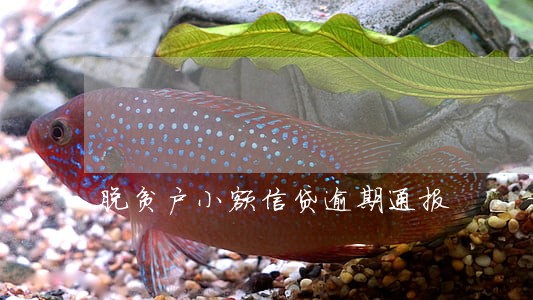 脱贫户小额信贷逾期通报 脱贫户小额信贷逾期通报