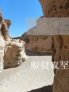 脱贫攻坚法律援助的工作