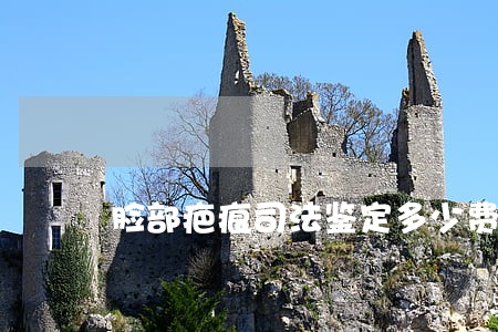 脸部疤痕司法鉴定多少费用0 脸部疤痕司法鉴定多少费用0