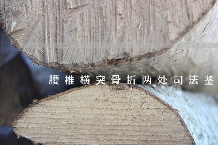 腰椎横突骨折两处司法鉴定 腰椎横突骨折两处司法鉴定