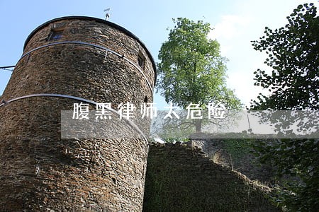 腹黑律师太危险 腹黑律师太危险