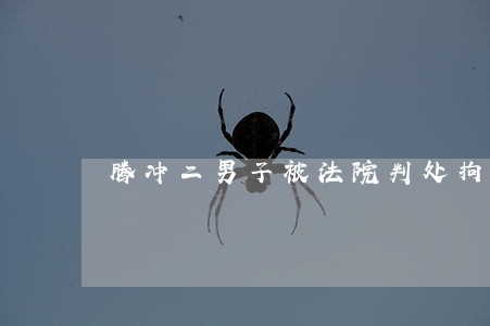 腾冲二男子被法院判处拘役 腾冲二男子被法院判处拘役
