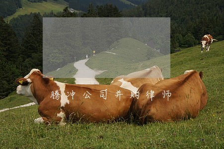 腾冲公司并购律师 腾冲公司并购律师