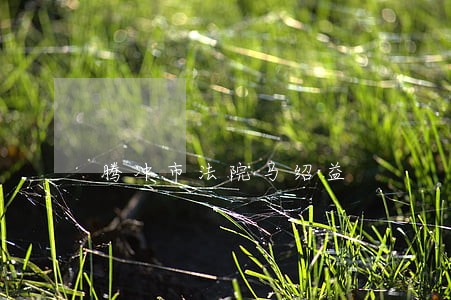 腾冲市法院马绍益 腾冲市法院马绍益