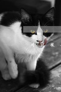 腾讯微乐分逾期会不会爆通讯录 腾讯微乐分逾期会不会爆通讯录