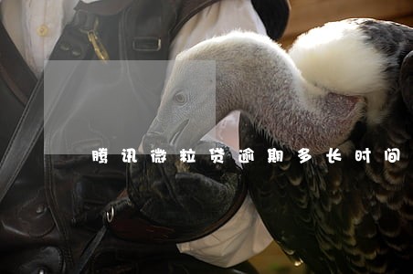 腾讯微粒贷逾期多长时间 腾讯微粒贷逾期多长时间