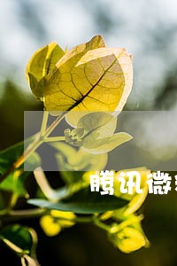 腾讯微粒贷逾期天天发信息 腾讯微粒贷逾期天天发信息
