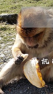 腾讯理财周转逾期两天 腾讯理财周转逾期两天
