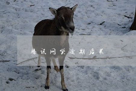 腾讯网贷逾期后果 腾讯网贷逾期后果
