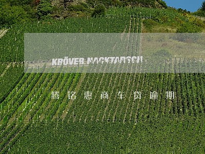 腾铭惠商车贷逾期 腾铭惠商车贷逾期