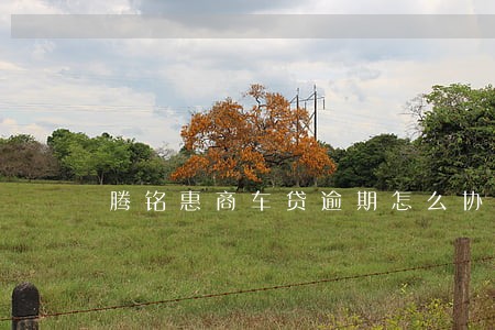 腾铭惠商车贷逾期怎么协商 腾铭惠商车贷逾期怎么协商
