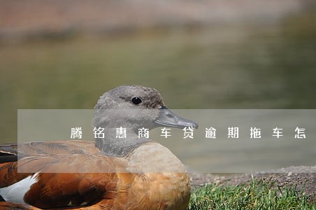 腾铭惠商车贷逾期拖车怎么办 腾铭惠商车贷逾期拖车怎么办