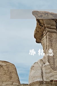 腾铭惠商集团有限公司车贷逾期 腾铭惠商集团有限公司车贷逾期