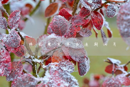 腾铭慧商车贷逾期俩月 腾铭慧商车贷逾期俩月
