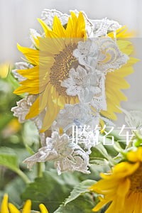腾铭车贷逾期会不会被抓 腾铭车贷逾期会不会被抓