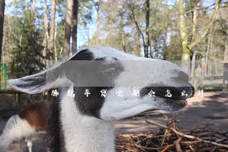腾铭车贷逾期会怎么样 腾铭车贷逾期会怎么样