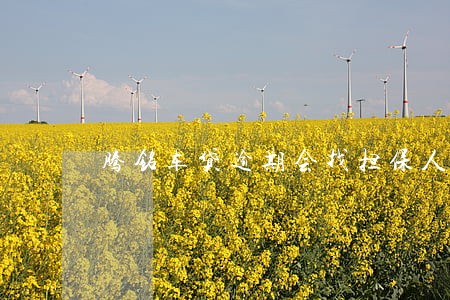 腾铭车贷逾期会找担保人吗 腾铭车贷逾期会找担保人吗
