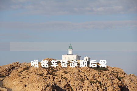 腾铭车贷逾期后果
