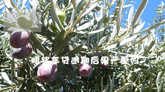 腾铭车贷逾期后果严重吗 腾铭车贷逾期后果严重吗