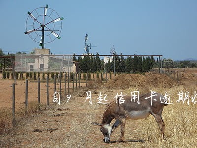 自9月起信用卡逾期收取手续费吗 自9月起信用卡逾期收取手续费吗