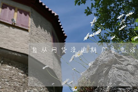 自从网贷没逾期广告电话不断 自从网贷没逾期广告电话不断