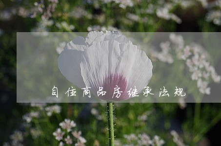 自住商品房继承法规