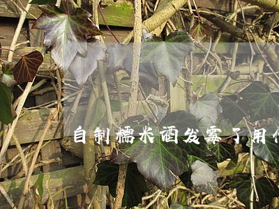 自制糯米酒发霉了用什么办法制 自制糯米酒发霉了用什么办法制