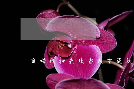 自动代扣失败当天有还款算逾期吗 自动代扣失败当天有还款算逾期吗