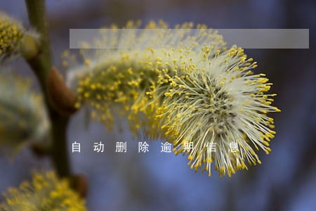 自动删除逾期信息 自动删除逾期信息