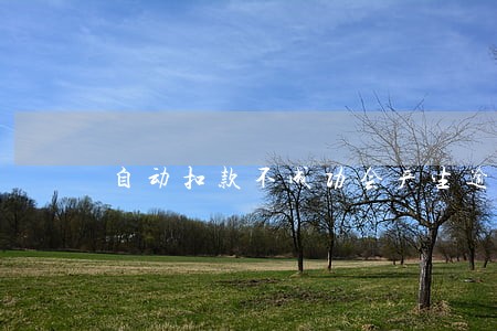 自动扣款不成功会产生逾期吗 自动扣款不成功会产生逾期吗
