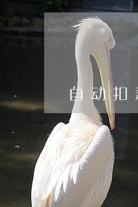 自动扣款分期还逾期 自动扣款分期还逾期